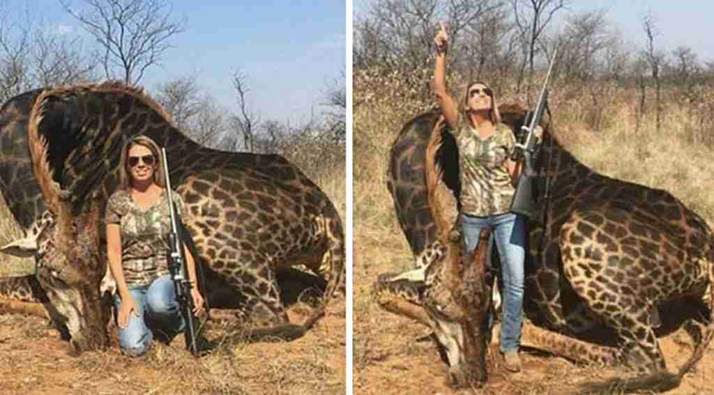 amerikali-avci-nadir-bulunan-zurafayi-avladi-sosyal-medyada-buyuk-tepki.jpg