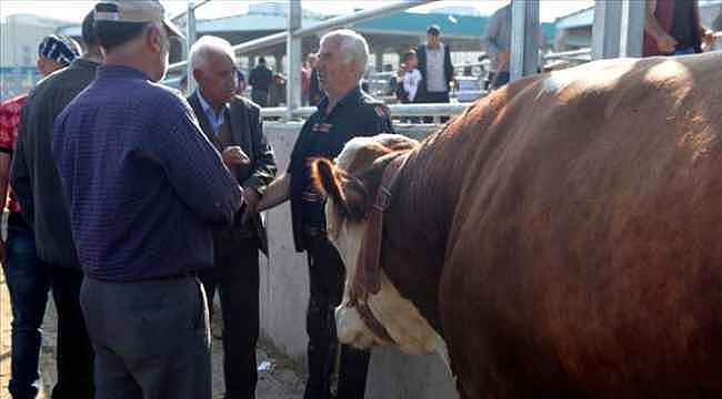 Dikkat etmezsek bayram bize zehir olabilir... Kurban'da 1 milyon kişi tehdit altında