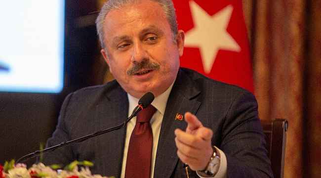 TBMM Başkanı Şentop: "FETÖ'nün bütün o ayakları ile ilgili süreçleri mahkemeler nasıl yürüttüyse siyasi ayakla ilgili de yürütsün"