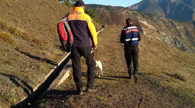 Artvin'de çam sakızı toplamak için ormana giden yaşlı adam ölü bulundu