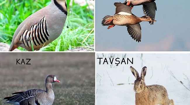 Avcılar yarın için sabırsızlanıyor