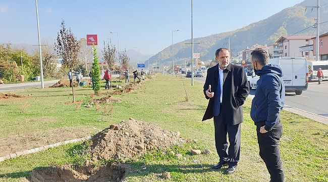 Düzce D-100'de peyzaj düzenlemesi sürüyor
