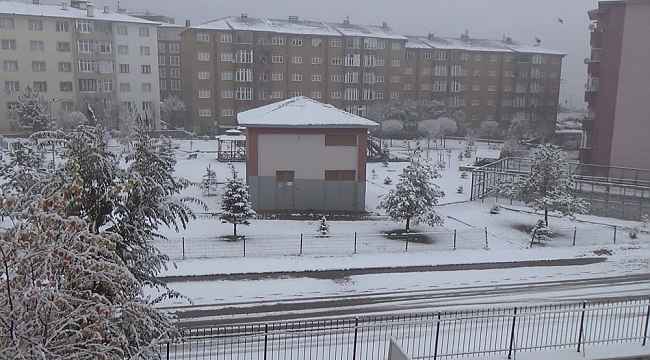 Erzurum'da soğuk hava ve sis etkili oluyor