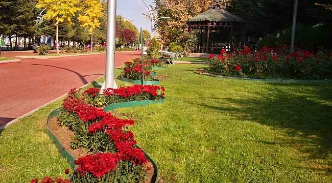 Keçiören'in parkları kasımpatılarla renklendi