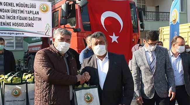 Mut'ta 13 mahalleye 15 bin beyaz incir fidanı dağıtıldı