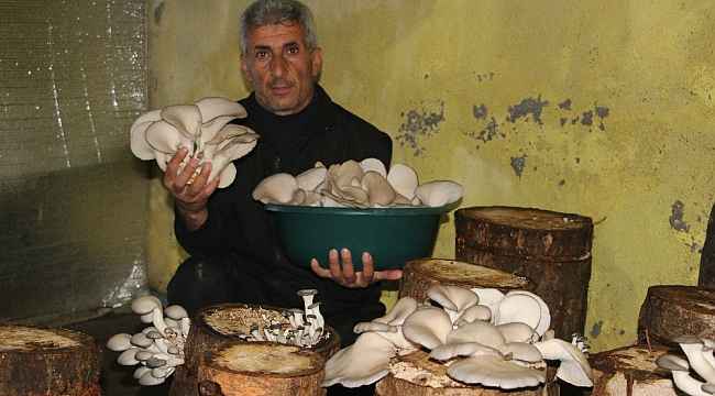 Bir torba ve bir kütük ile başladı şimdi siparişlere yetişemiyor