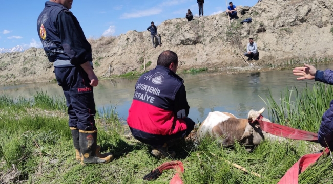 Bataklığa saplanan ineği itfaiye kurtardı