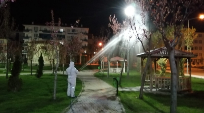 Çorum'da yaprak biti ile müdahale erken başladı