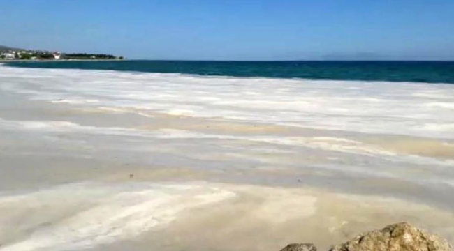 Deniz salyaları mavi bayraklı sahili beyaza çevirdi