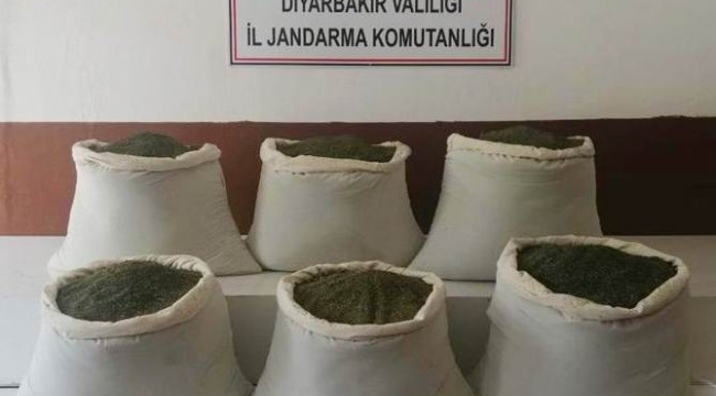 Diyarbakır'da çalıların arasında 201 kilogram esrar ele geçirildi