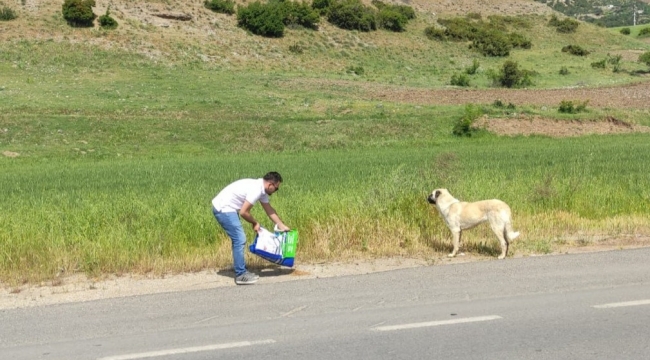 Hayvanseverlerden sokak hayvanlarına mama desteği