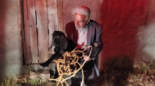 Şanlıurfa'da foseptik çukuruna düşen keçi kurtarıldı