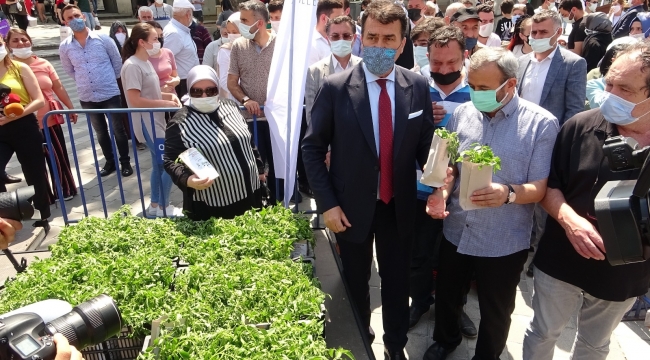 Yerli tohum fideleri toprakla buluşuyor - Bursa Haberleri