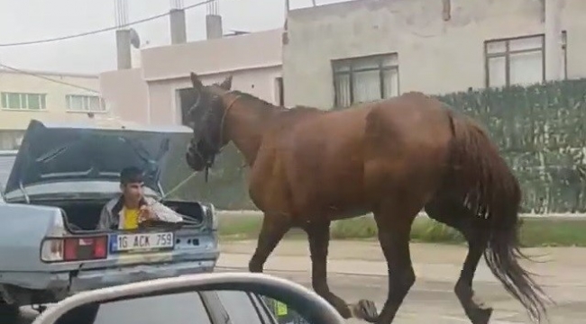 Bursa'da aracın arkasına at bağlayıp çevre yolunda koşturdu - Bursa Haberleri