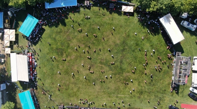 Bursa'da Geleneksel Çalı Yağlı Güreşlerine yoğun ilgi - Bursa Haberleri
