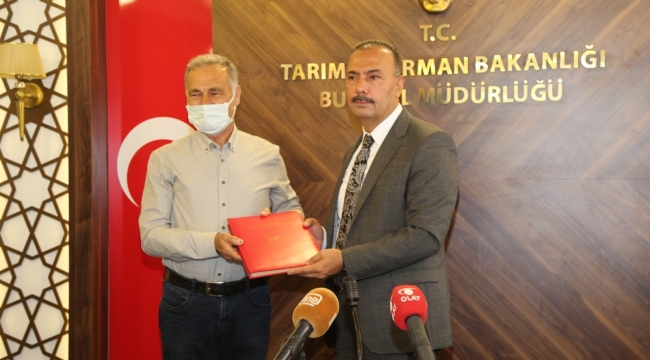 Bursa'ya 36 milyon liralık tarım yatırımı - Bursa Haberleri