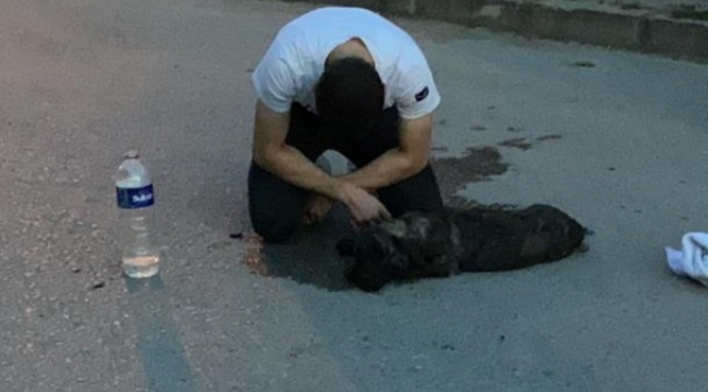 Can dostunun başında dakikalarca ağladı - Bursa Haberleri