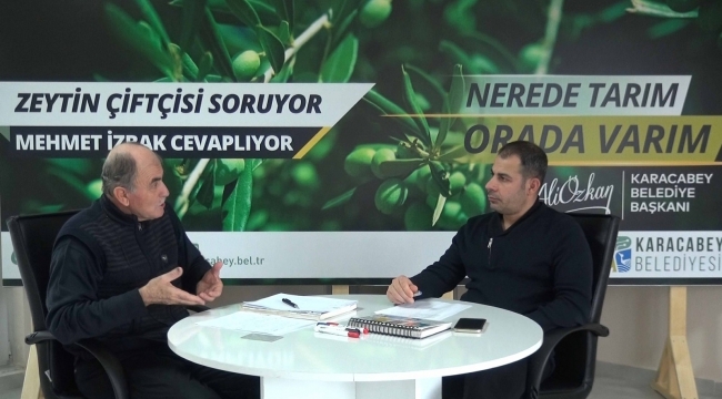 Zeytinde yaz takvimi, zeytin üreticilerine katkı sağlayacak - Bursa Haberleri