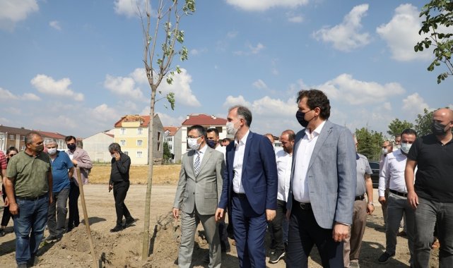 251 şehit anısına 251 ağaç toprakla buluştu