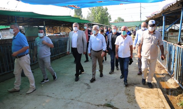 Başkan Erdem'den hayvan pazarına ziyaret