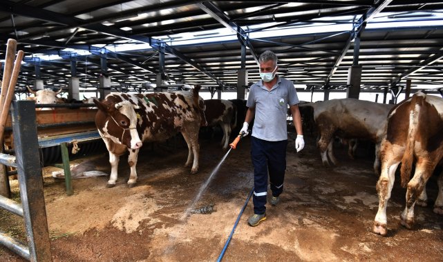 Bu ekipten uçan da kaçamıyor - Bursa Haberleri