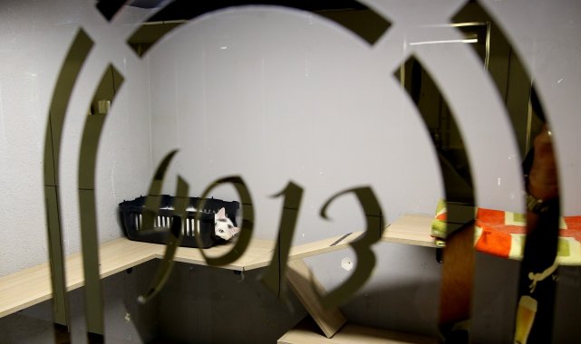 Bursa'da 5 yıldızlı evcil hayvan otelinde bayram yoğunluğu