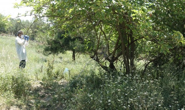 Kahreden olay... Bursa'da ağaç altına atılmış bebek cesedi bulundu - Bursa Haberleri