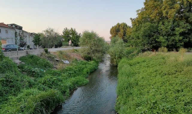 Bursa'da balık ölümleri - Bursa Haberleri