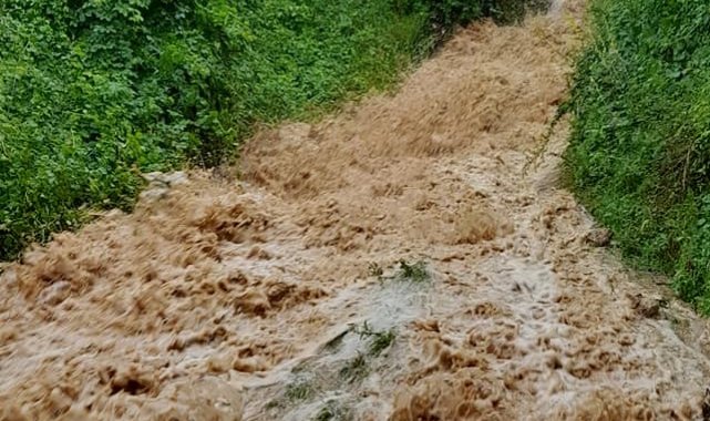 Dağ köyleri sele teslim - Bursa Haberleri