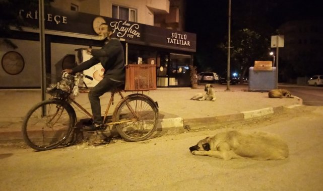 Hem hurda topluyor, hem sokak hayvanlarına babalık yapıyor - Bursa Haberleri