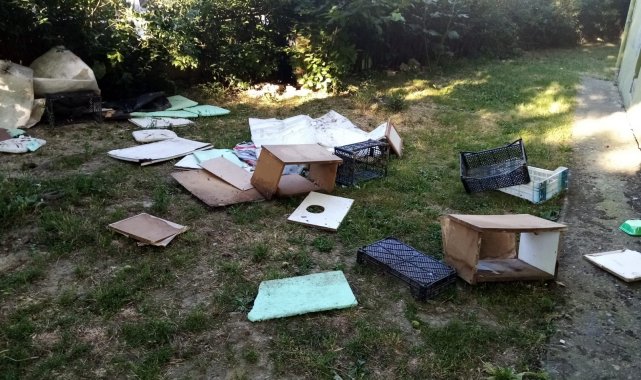 Site bahçesindeki kedi evlerini yıkan şahıs, hayvanseverlere tepki gösterdi - Bursa Haberleri