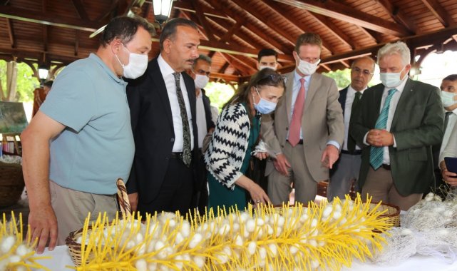 Yerli ipekböceğinin genetik kaynakları muhafaza edilecek