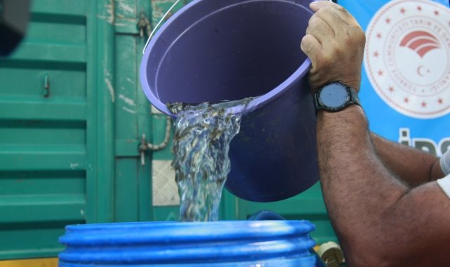 Bursa'da göl ve göletlere 1 milyon 756 bin adet yavru sazan balığı bırakıldı