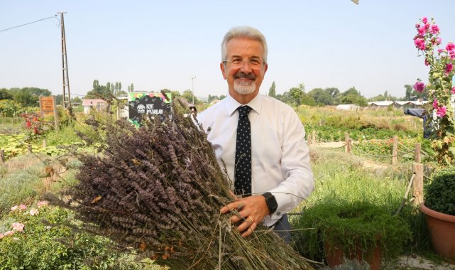 Bursa'da lavanta üretimi artırılacak