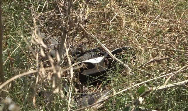 Bursa'da yol kenarında erkek cesedi bulundu
