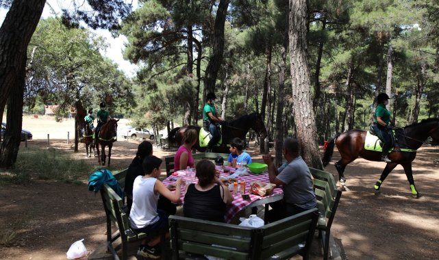 Bursa'nın ormanları onlara emanet