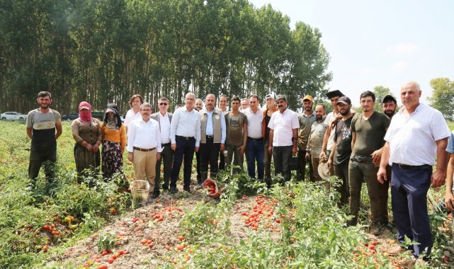 Domates hasadında salça fabrikalarına çağrı