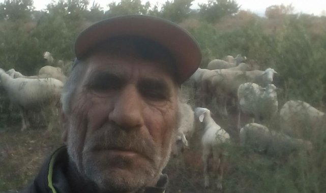 Kıbrıs gazisi, koyunlarını ekili arazilerden kovalarken kalp krizinden öldü