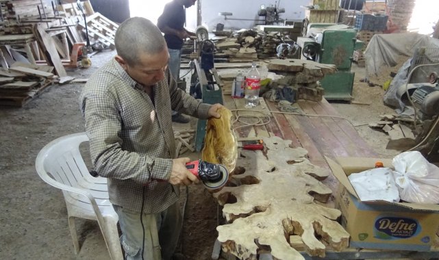 Ömrünü tamamlamış asırlık ağaçlar sanat eserine dönüşüyor