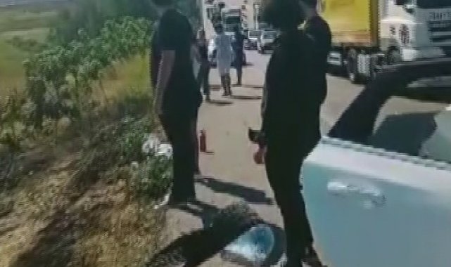 Yangını gören aracını durdurup müdahale etti