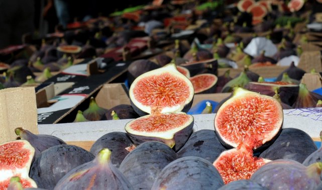 Bursa siyahı görücüye çıkıyor
