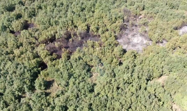 Bursa'da yerleşim alanına yakın bulunan ormanlık alandaki yangın kısa sürede söndürüldü