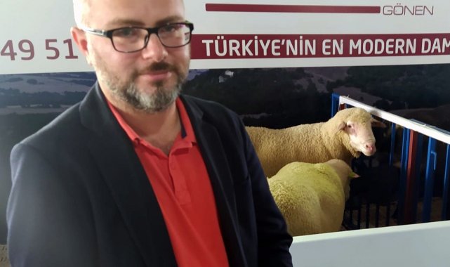 Festivalde Türk Merinos koyununa yoğun ilgi