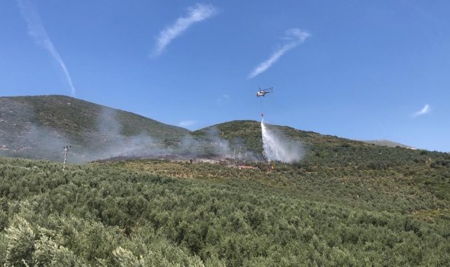 Gemlik'te orman yangını kontrol altına alındı