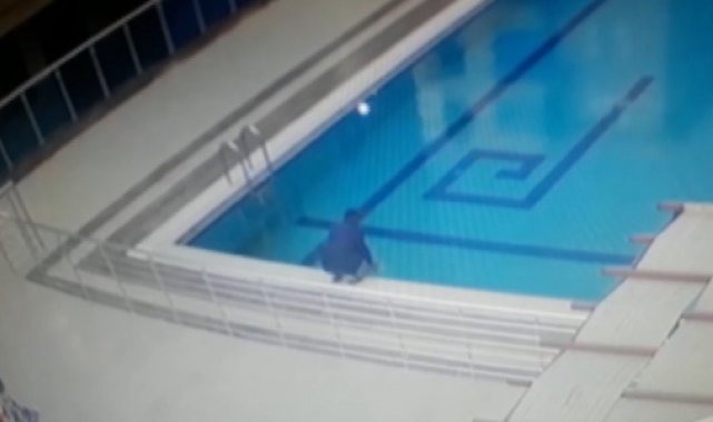 Havuzda ölmek üzere olan martıyı böyle kurtardı