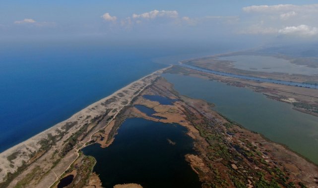 Karacabey longoz ormanlarında sonbahar güzelliği
