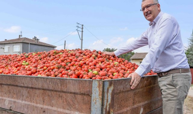 Karacabey'in "kırmızı elmas"ına talep çok