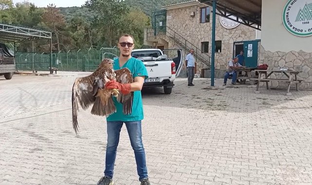 Kartallar yeniden mavi göklerle buluştu