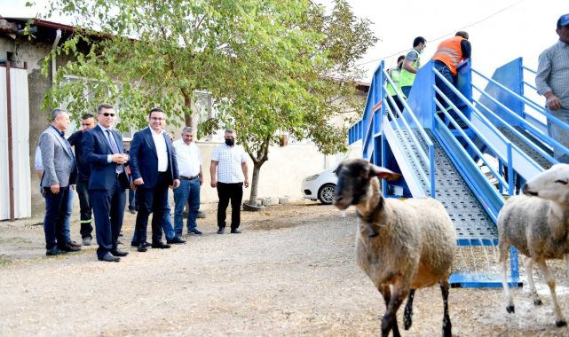 Mobil koyun banyosu çobanların ve koyunların hizmetinde