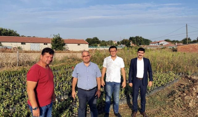 Şifa kaynağı aronya Mudanya'da üretilecek